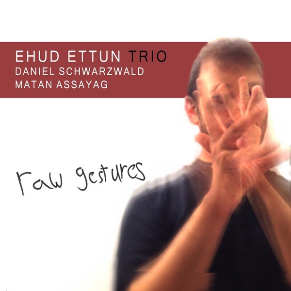 Raw Gestures album cover